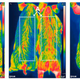 Image: PNAS